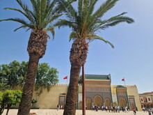 Orientalischer Frühling in Marokko 2024 (by ATW) - Foto 193
